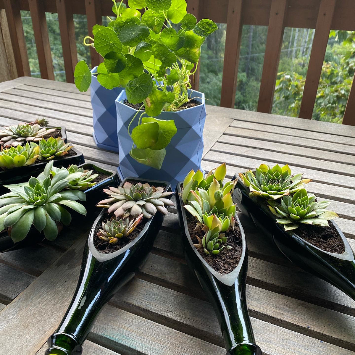 wine bottle plant pot Recycled Glass Bottle Tray