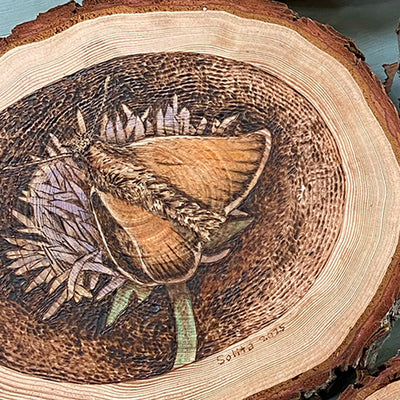 Wood "Bugs on Flowers" Art Series