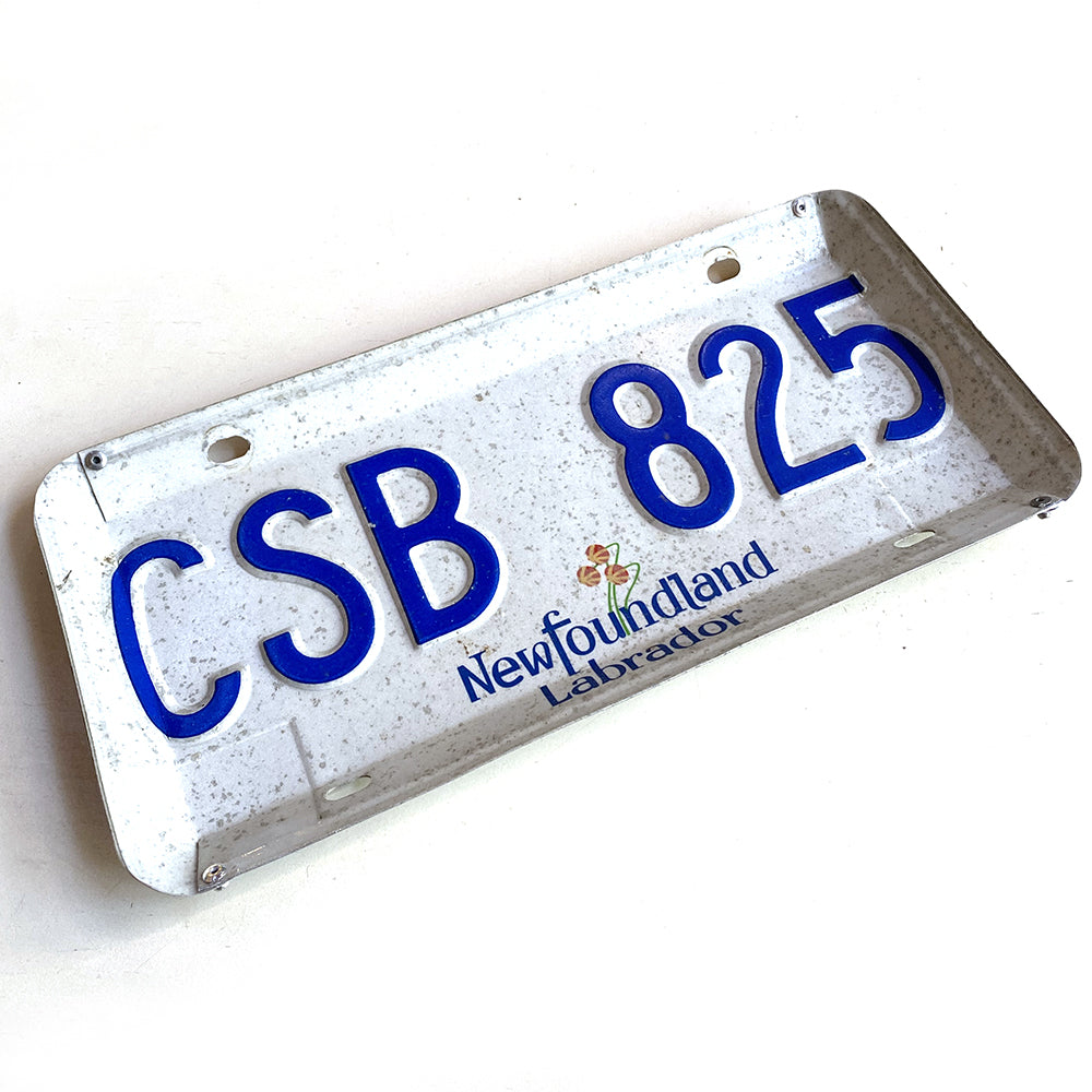 Recycled License Plate Tray