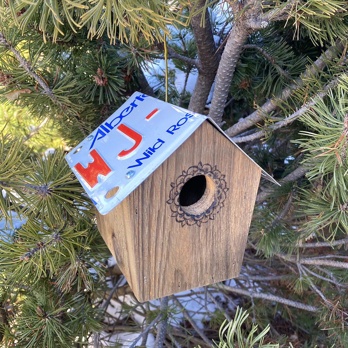 Short Recycled License Plate Birdhouse