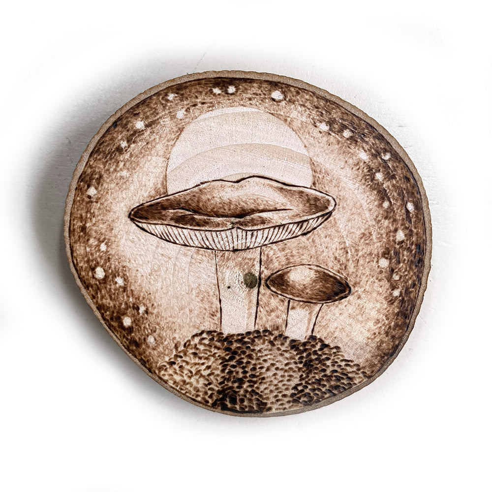 Mushroom Art