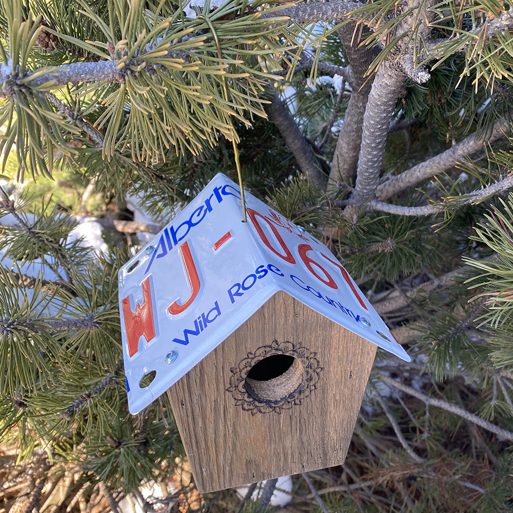 Short Recycled License Plate Birdhouse