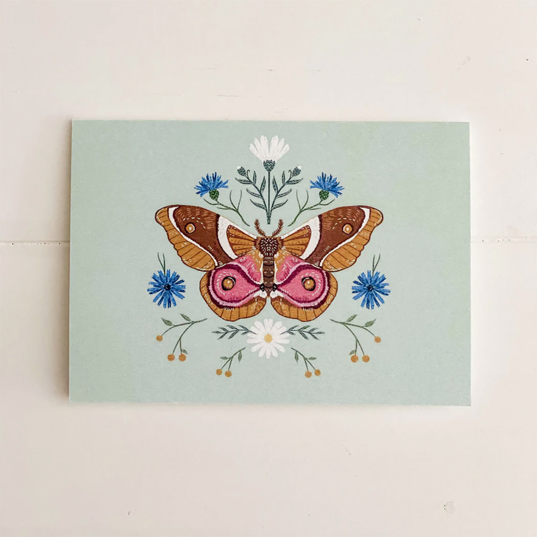 Moth graphic greeting card
