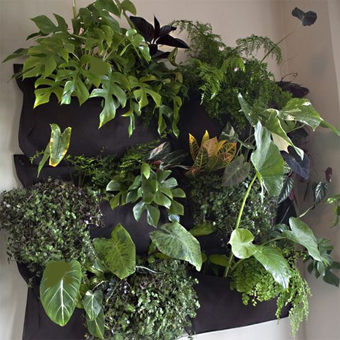 woolly pocket plastic wall planter Woollypocket Black Wall Planter – Trading Post at Bear Spring